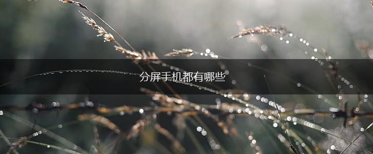 分屏手机都有哪些,第1张