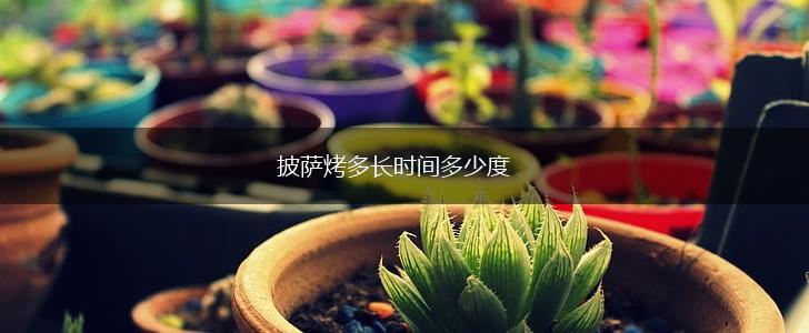披萨烤多长时间多少度,第1张