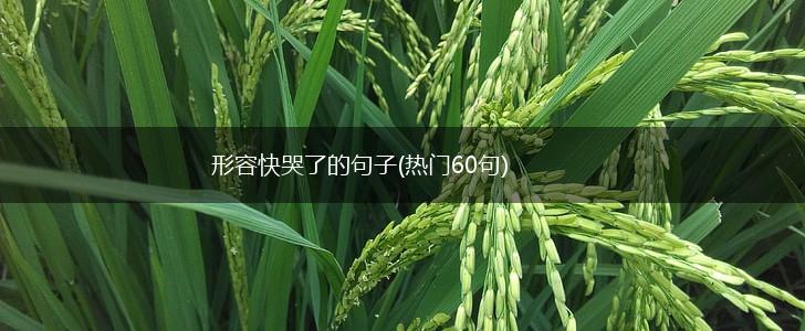 形容快哭了的句子(热门60句),第1张