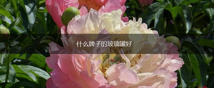什么牌子的玻璃罐好,第1张