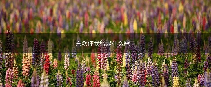 喜欢你我曾是什么歌,第1张