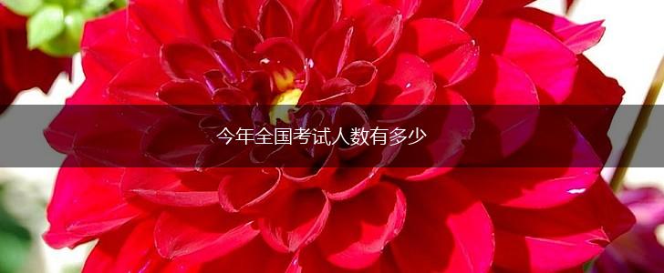 今年全国考试人数有多少,第1张