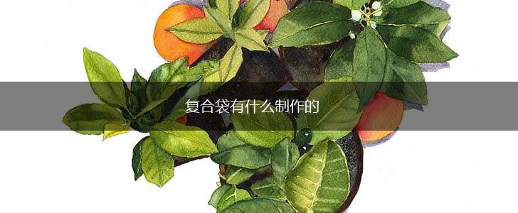 复合袋有什么制作的,第1张