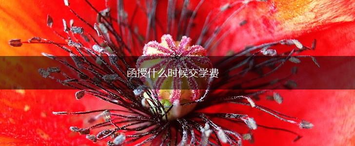 函授什么时候交学费,第1张