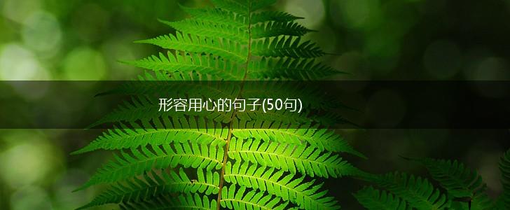 形容用心的句子(50句),第1张