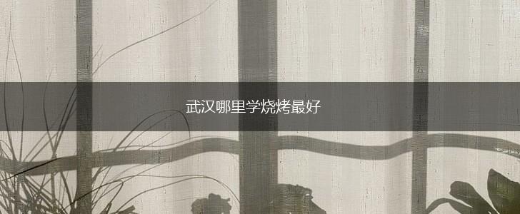 武汉哪里学烧烤最好,第1张