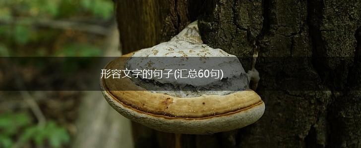 形容文字的句子(汇总60句),第1张