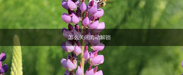 怎么关闭滑动解锁,第1张