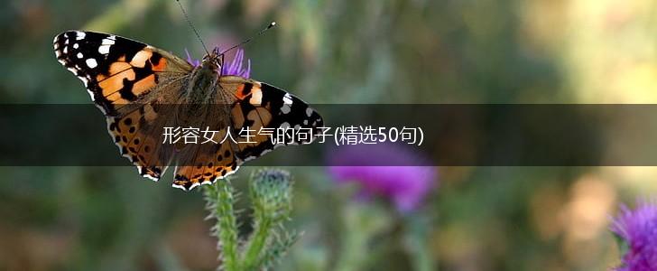 形容女人生气的句子(精选50句),第1张