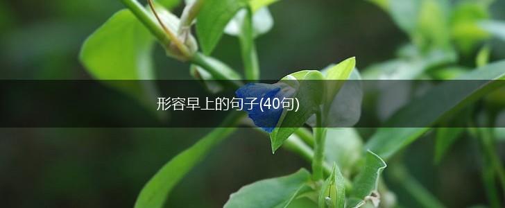 形容早上的句子(40句),第1张