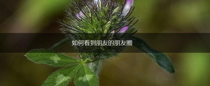 如何看到朋友的朋友圈,第1张