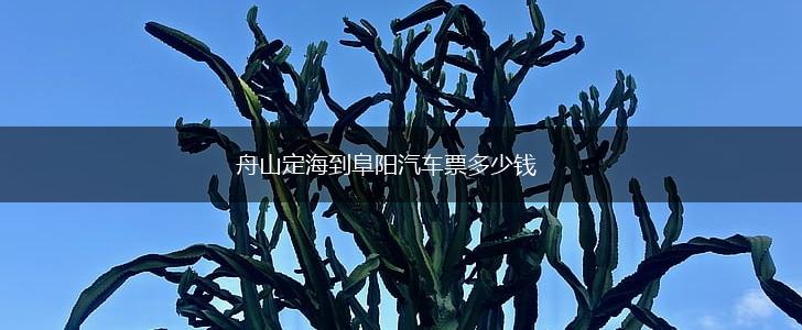 舟山定海到阜阳汽车票多少钱,第1张