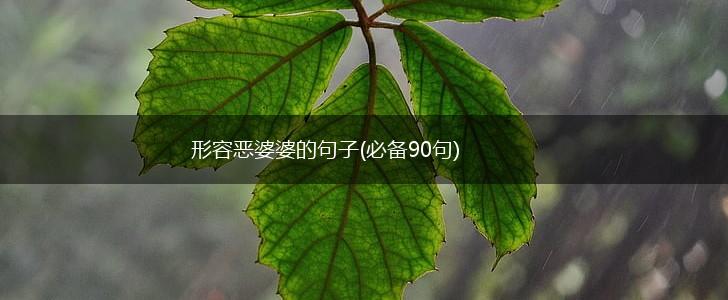 形容恶婆婆的句子(必备90句),第1张