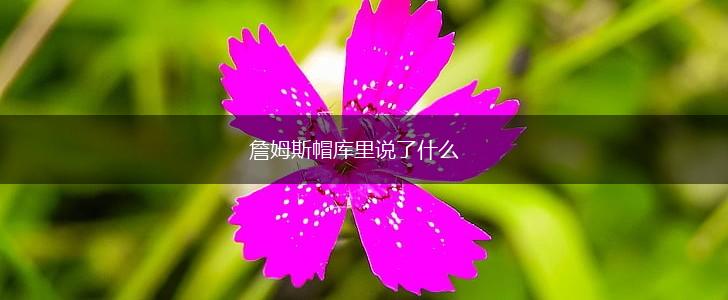 詹姆斯帽库里说了什么,第1张