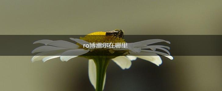 ro博雷尔在哪里,第1张