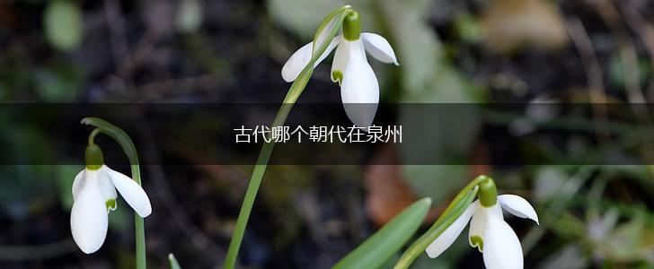 古代哪个朝代在泉州,第1张