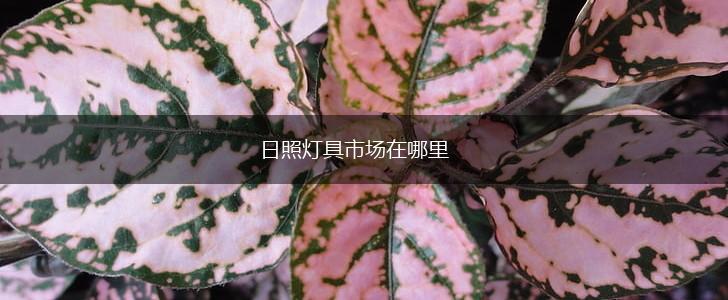 日照灯具市场在哪里,第1张