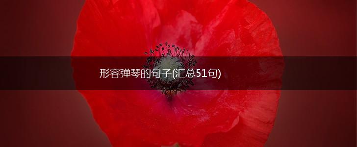 形容弹琴的句子(汇总51句),第1张