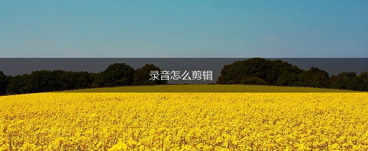 录音怎么剪辑,第1张