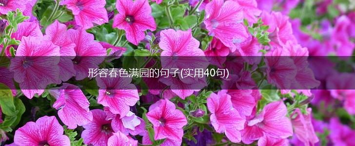 形容春色满园的句子(实用40句),第1张