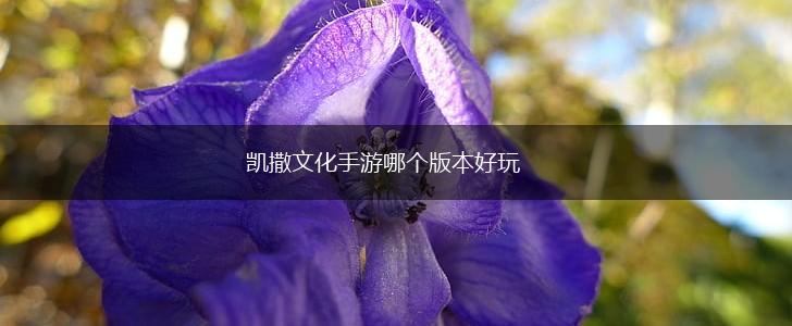 凯撒文化手游哪个版本好玩,第1张