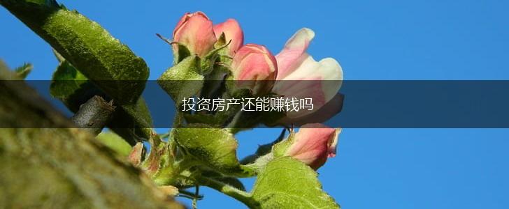 投资房产还能赚钱吗,第1张