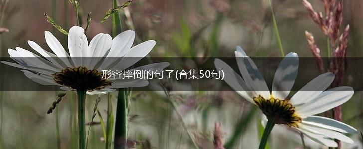 形容摔倒的句子(合集50句),第1张