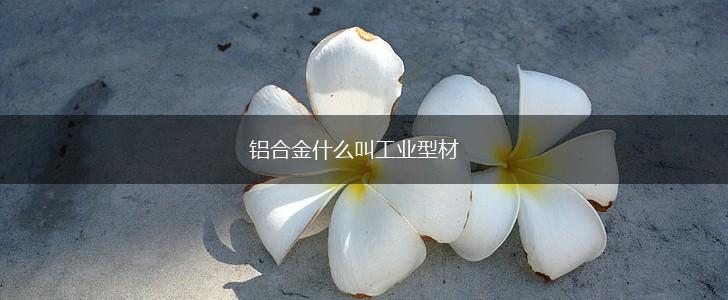 铝合金什么叫工业型材,第1张
