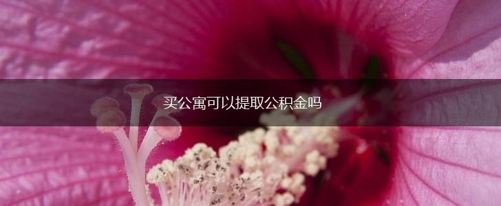 买公寓可以提取公积金吗,第1张