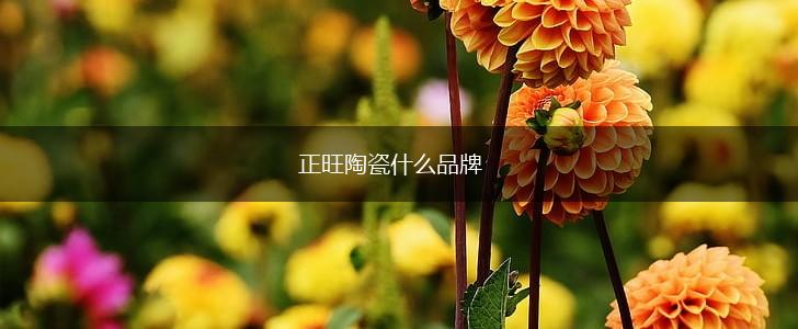 正旺陶瓷什么品牌,第1张