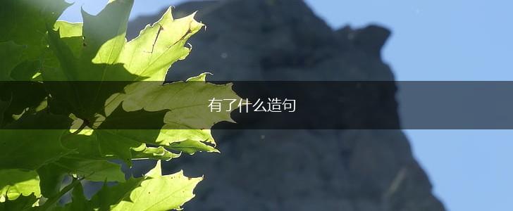 有了什么造句,第1张