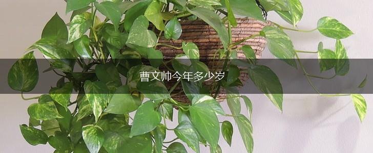 曹文帅今年多少岁,第1张