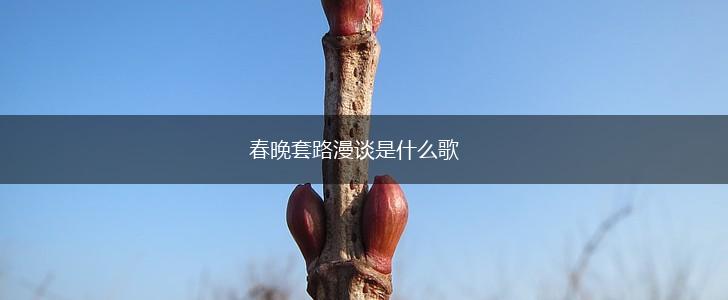 春晚套路漫谈是什么歌,第1张