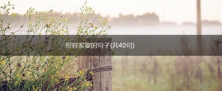 形容家宴的句子(共40句),第1张