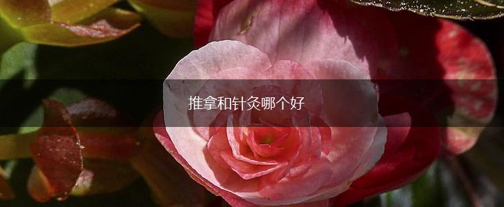 推拿和针灸哪个好,第1张