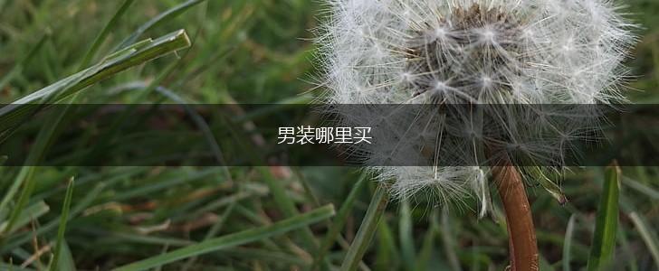 男装哪里买,第1张