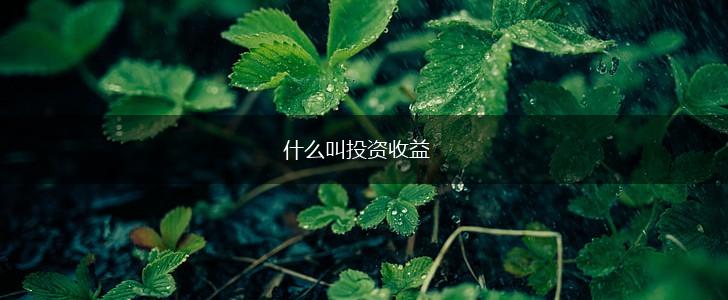 什么叫投资收益,第1张