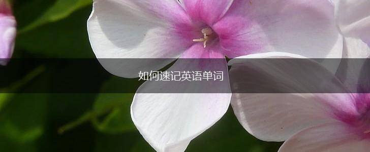 如何速记英语单词,第1张