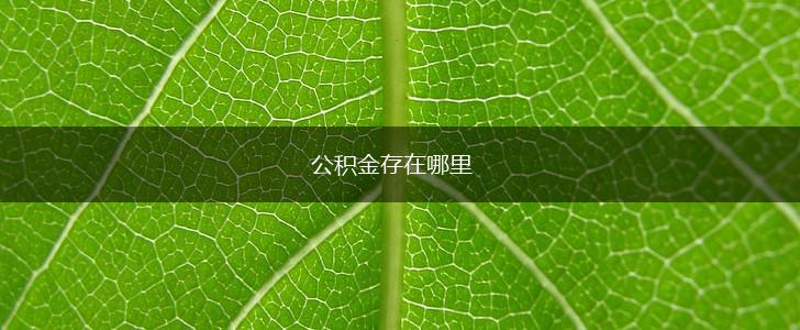 公积金存在哪里,第1张