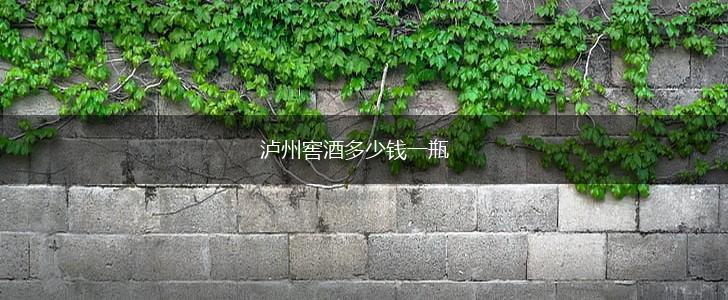 泸州窖酒多少钱一瓶,第1张