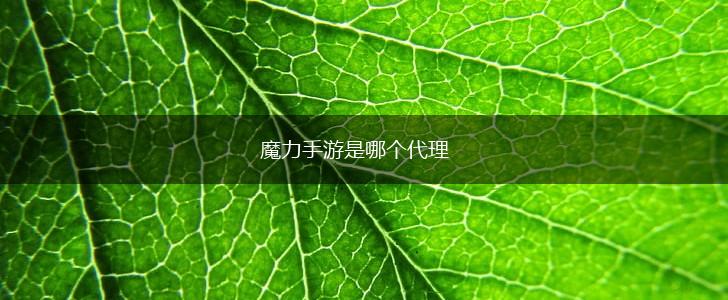 魔力手游是哪个代理,第1张