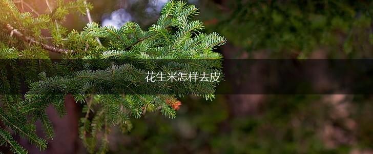 花生米怎样去皮,第1张