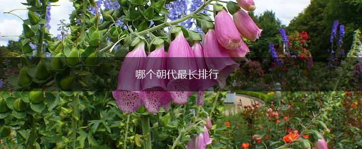 哪个朝代最长排行,第1张