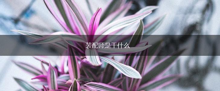装配师是干什么,第1张