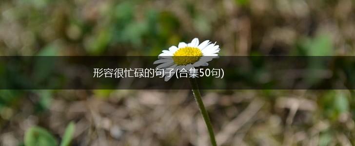 形容很忙碌的句子(合集50句),第1张
