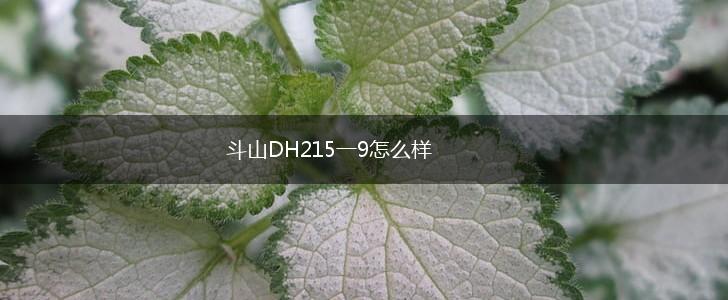 斗山DH215一9怎么样,第1张