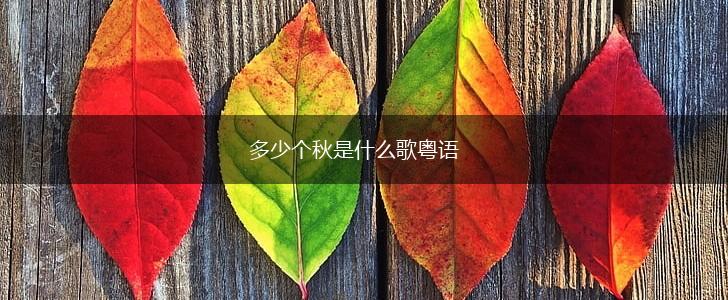 多少个秋是什么歌粤语,第1张