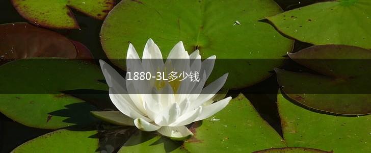 1880-3L多少钱,第1张