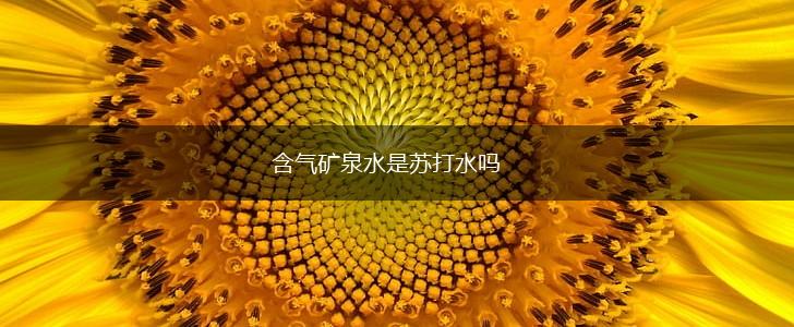 含气矿泉水是苏打水吗,第1张