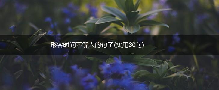 形容时间不等人的句子(实用80句),第1张
